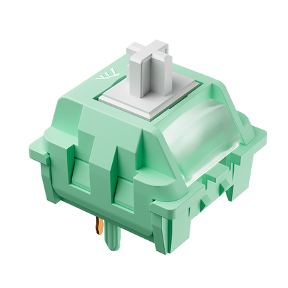 Cabbage Tofu Switch V2